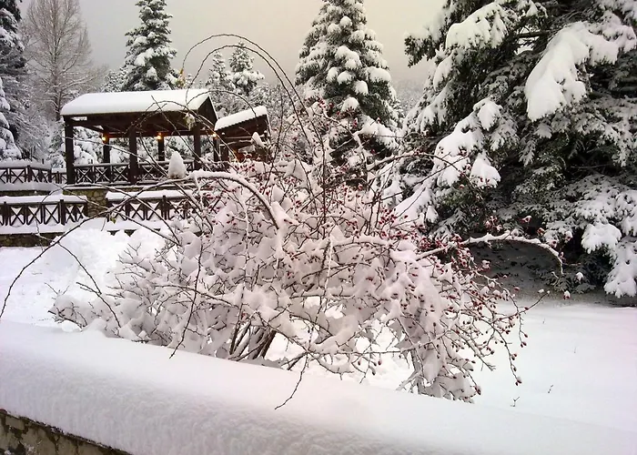 Anemoria Chalets-castalia Chalet *